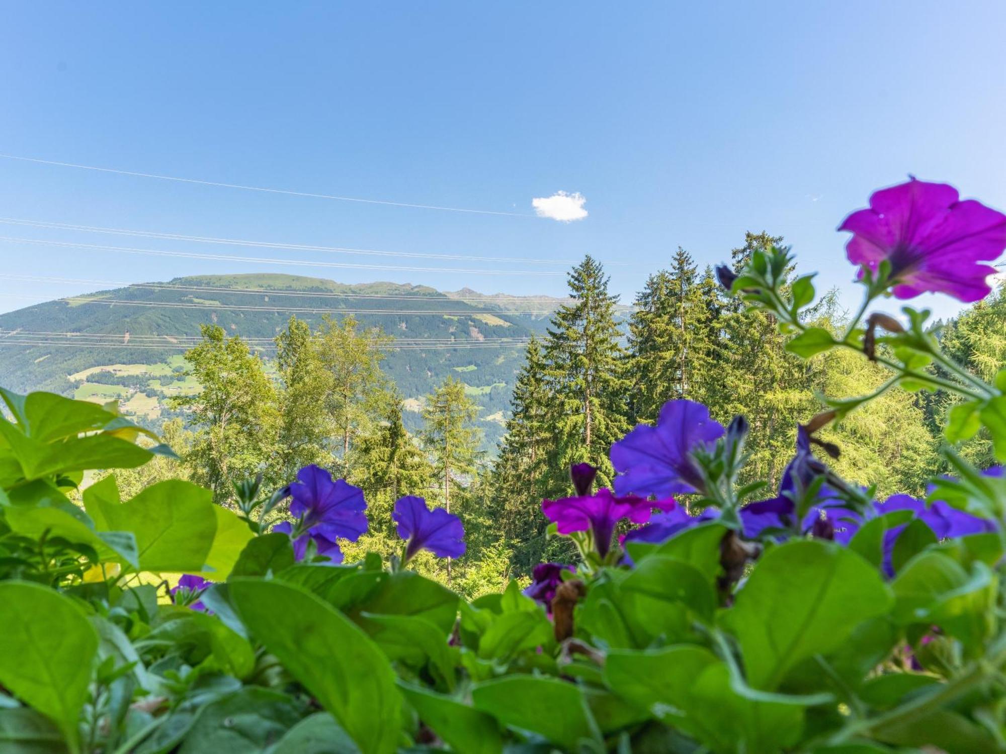 Wieshof Kaltenbach Zimmer foto