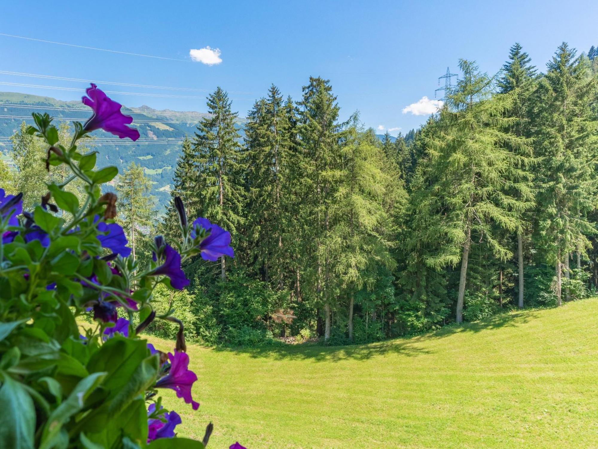 Wieshof Kaltenbach Zimmer foto